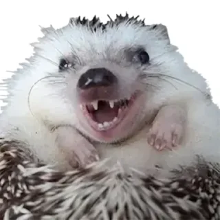 😀