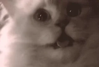 😳
