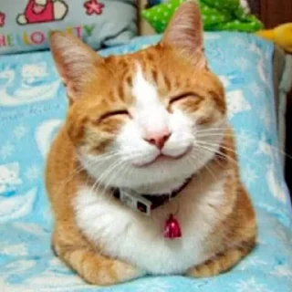 ☺️