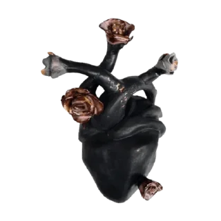 🖤