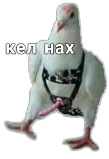 👊