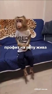 🤩