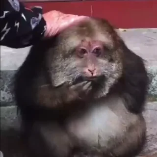 🤫