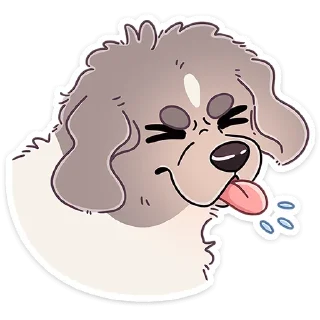 🐶