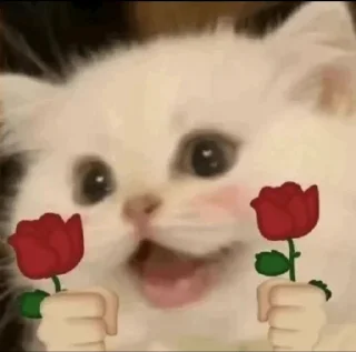 👍