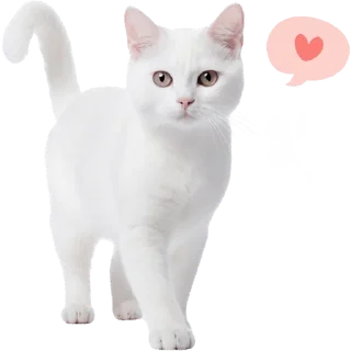 😍