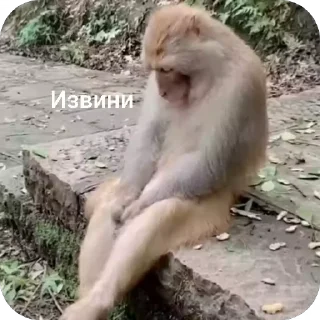 😏