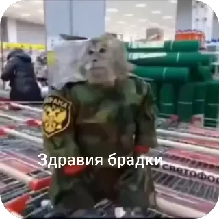 🫡