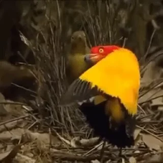 😀