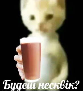🙋‍♀️