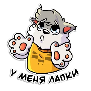 🐱