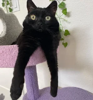 😐