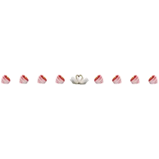 🦢