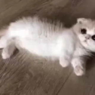 🥹