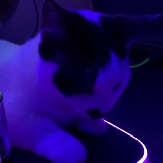 ☺️