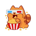 facecamru