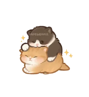🌟