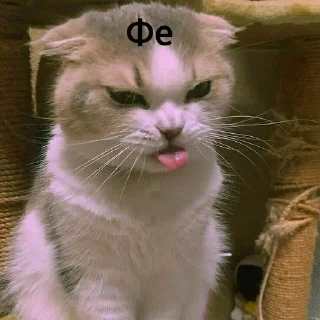 🤮