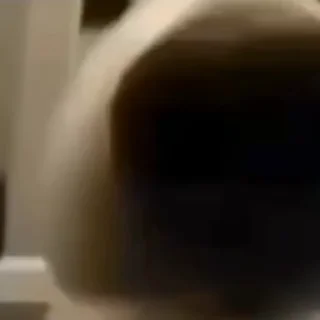 👃