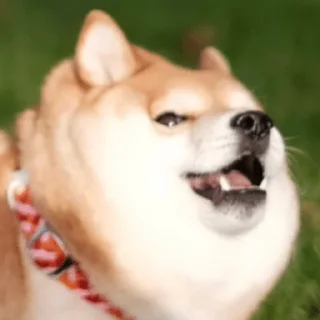 😄