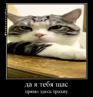 😜