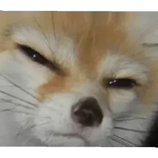 😄