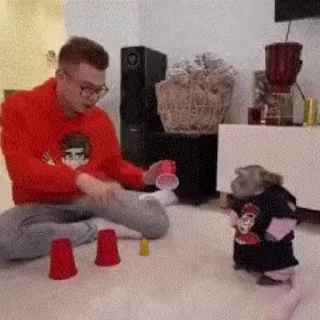 🎩