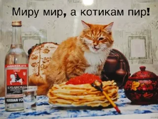 🍽