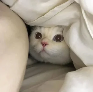 😳