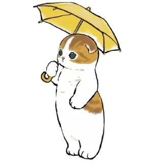 ☂