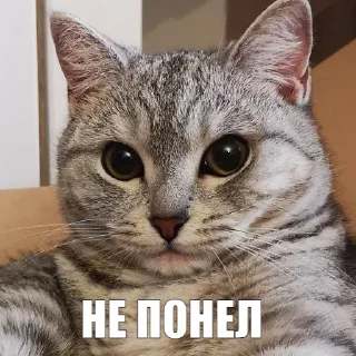 😐