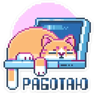 😴