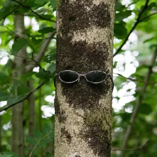 😎