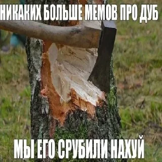🤬