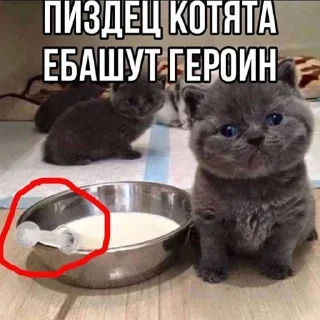 😱