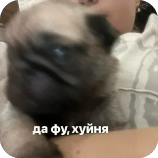 🫥