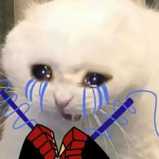 😭