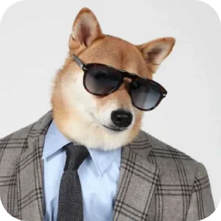 😎