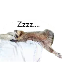 😴