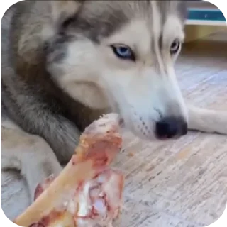 👍