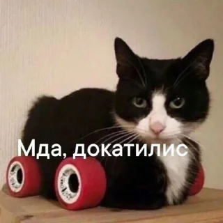 🚗