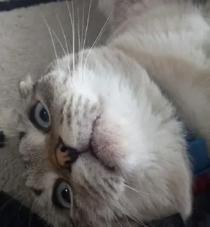 💕