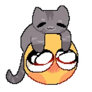 🐈
