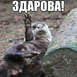 👋