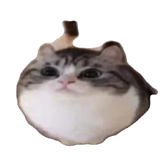🫥
