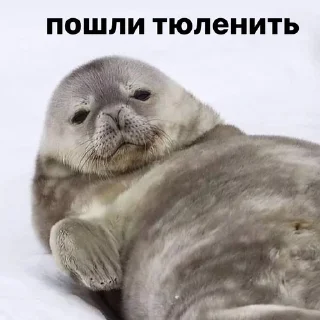 🤭