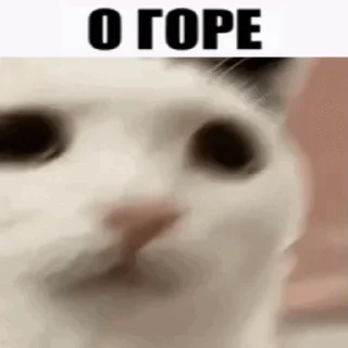 🫥