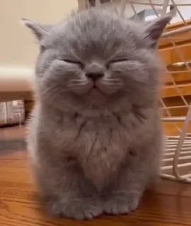 😊