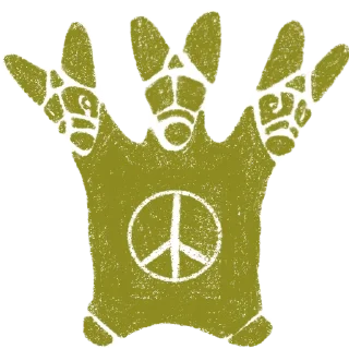 ✌️