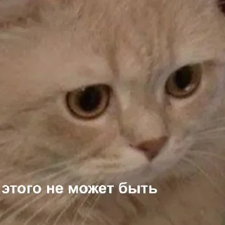 😶